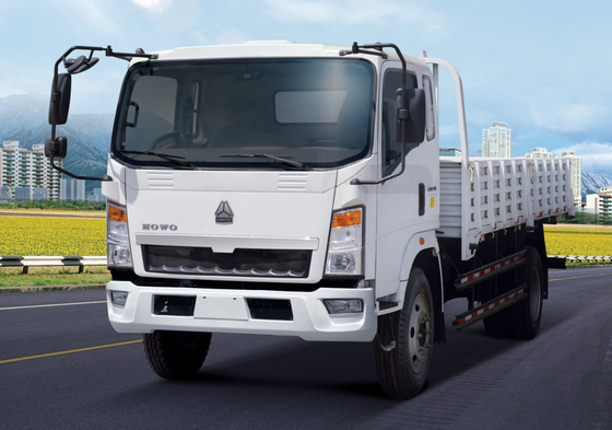 HOWO 4 × 2 الشاحنات التجارية الخفيفة توفير الوقود البني اللون 160hp 8.2t المحور الخلفي